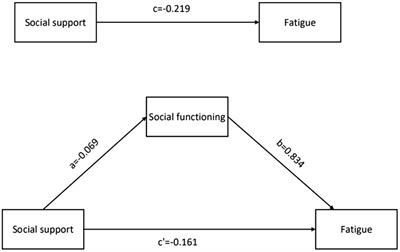 The mediating effect of social functioning on the relationship between social support and fatigue in middle-aged and young recipients with liver transplant in China